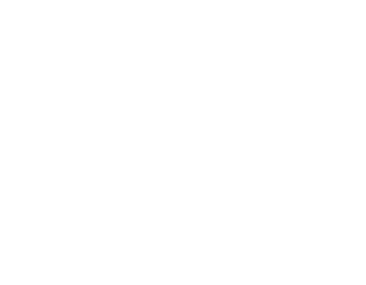 logo bron