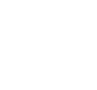 logo V-PAS
