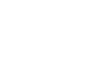 logo bron